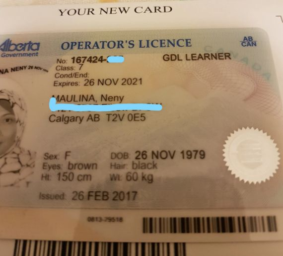 Buy Alberta Driving License and ID Card