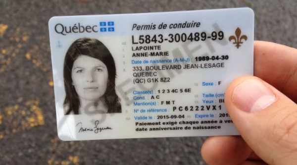 Buy Quebec Driver’s Licence and ID Card