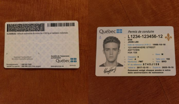 Buy Quebec Driver’s Licence and ID Card - Image 2