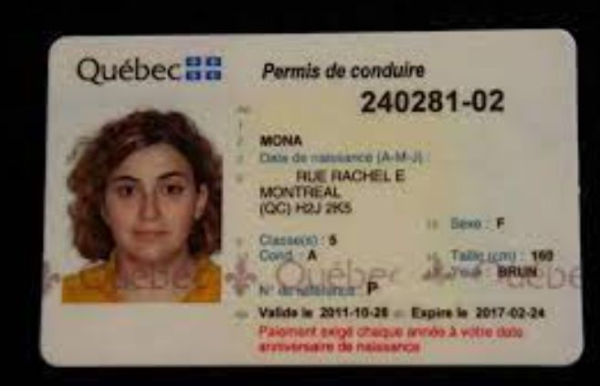 Buy Quebec Driver’s Licence and ID Card - Image 3