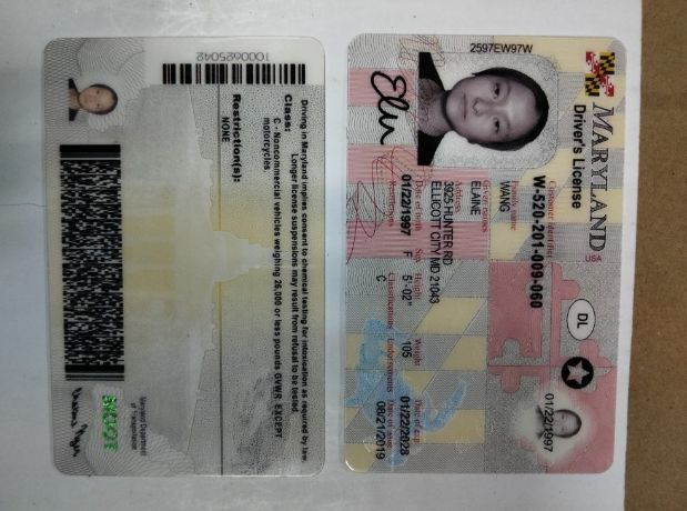 Buy Maryland Driver’s License and ID Card