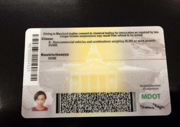 Buy Maryland Driver’s License and ID Card - Image 2